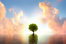 obraz strom života, tree of life